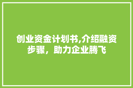 创业资金计划书,介绍融资步骤，助力企业腾飞
