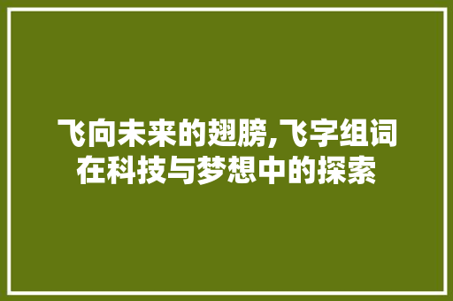 飞向未来的翅膀,飞字组词在科技与梦想中的探索