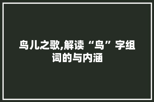 鸟儿之歌,解读“鸟”字组词的与内涵
