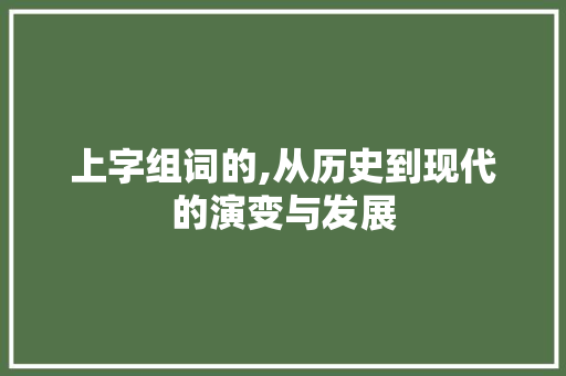 上字组词的,从历史到现代的演变与发展