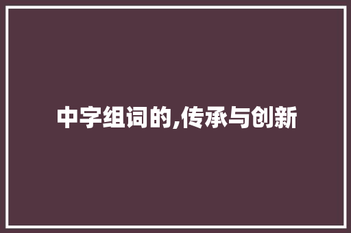 中字组词的,传承与创新