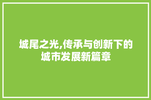 城尾之光,传承与创新下的城市发展新篇章 工作类
