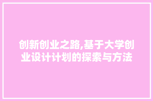 创新创业之路,基于大学创业设计计划的探索与方法