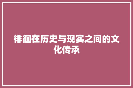 徘徊在历史与现实之间的文化传承