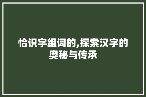恰识字组词的,探索汉字的奥秘与传承