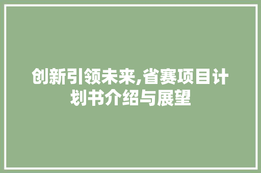 创新引领未来,省赛项目计划书介绍与展望