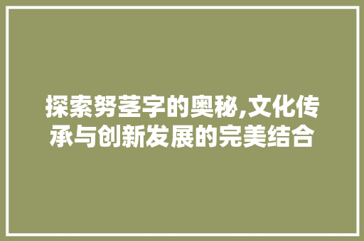探索努茎字的奥秘,文化传承与创新发展的完美结合