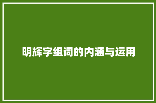 明辉字组词的内涵与运用