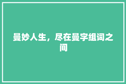 曼妙人生，尽在曼字组词之间