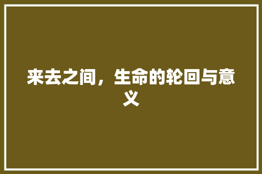 来去之间，生命的轮回与意义