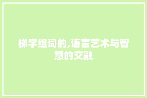 梯字组词的,语言艺术与智慧的交融
