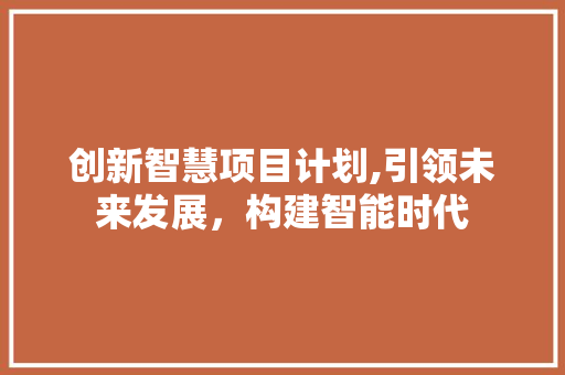 创新智慧项目计划,引领未来发展，构建智能时代