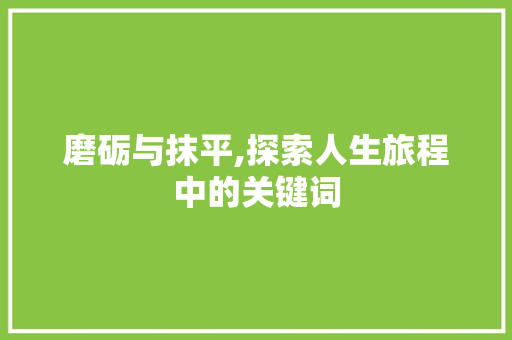 磨砺与抹平,探索人生旅程中的关键词