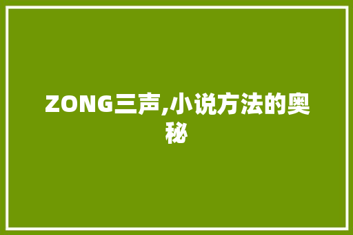 ZONG三声,小说方法的奥秘