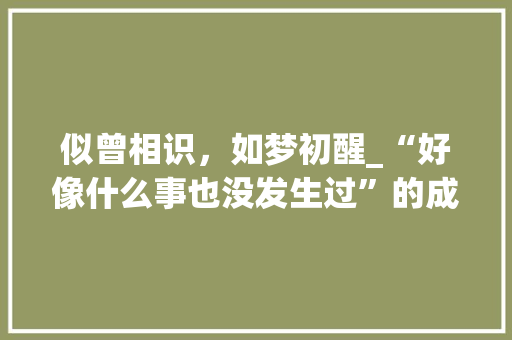 似曾相识，如梦初醒_“好像什么事也没发生过”的成语内涵 生活感悟