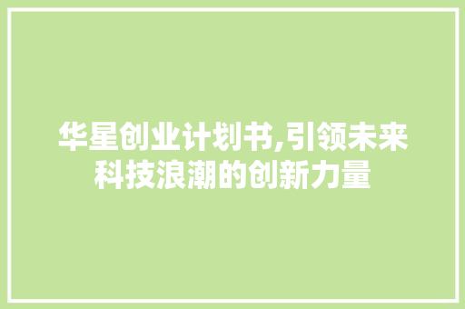 华星创业计划书,引领未来科技浪潮的创新力量