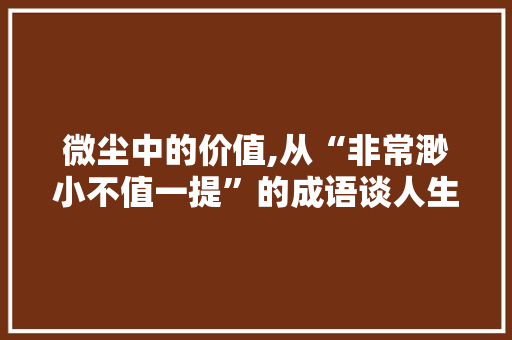 微尘中的价值,从“非常渺小不值一提”的成语谈人生哲理