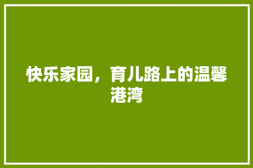 快乐家园，育儿路上的温馨港湾