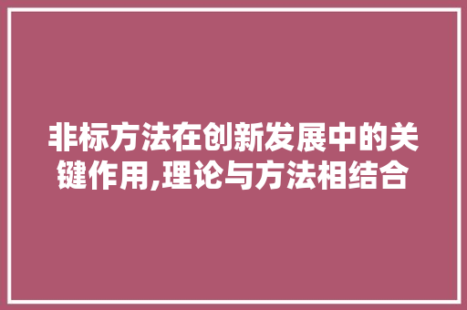 非标方法在创新发展中的关键作用,理论与方法相结合的探索