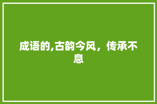 成语的,古韵今风，传承不息