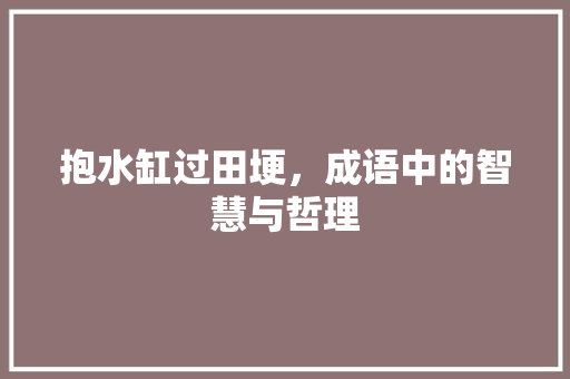 抱水缸过田埂，成语中的智慧与哲理