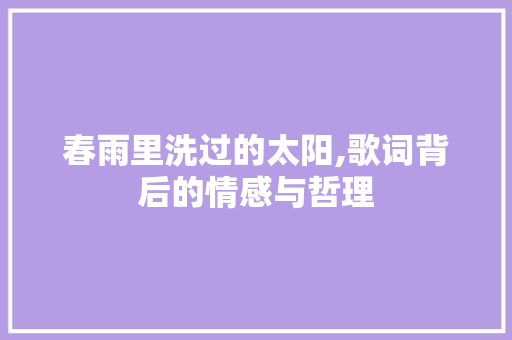 春雨里洗过的太阳,歌词背后的情感与哲理