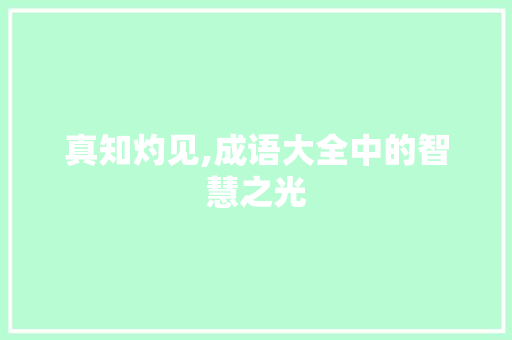 真知灼见,成语大全中的智慧之光 工作报告