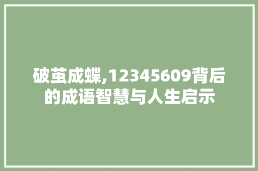 破茧成蝶,12345609背后的成语智慧与人生启示 工作类