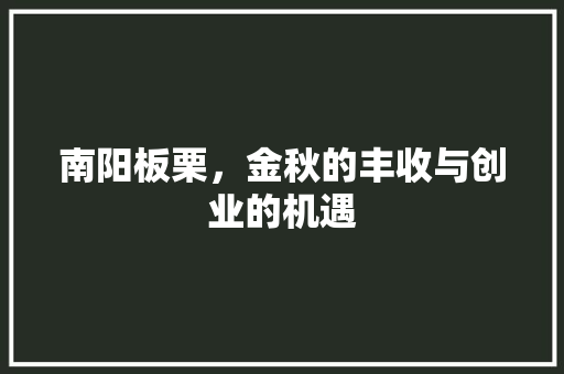 南阳板栗，金秋的丰收与创业的机遇