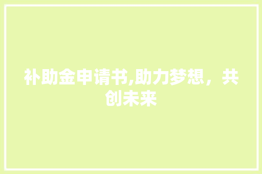 补助金申请书,助力梦想，共创未来