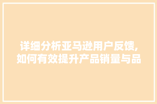 详细分析亚马逊用户反馈,如何有效提升产品销量与品牌形象 工作总结
