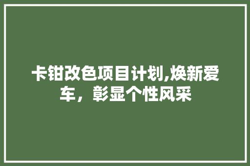 卡钳改色项目计划,焕新爱车，彰显个性风采