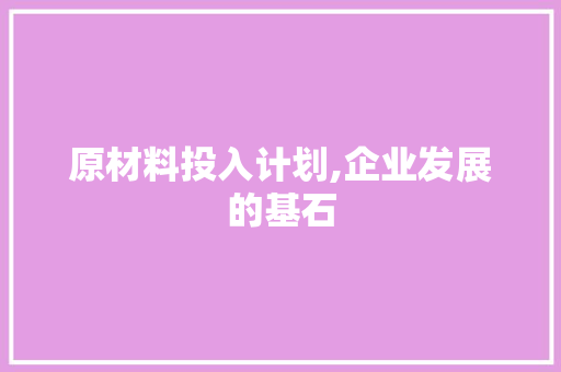 原材料投入计划,企业发展的基石 生活随笔