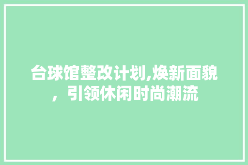 台球馆整改计划,焕新面貌，引领休闲时尚潮流