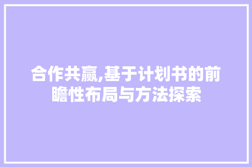 合作共赢,基于计划书的前瞻性布局与方法探索 工作报告