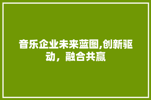 音乐企业未来蓝图,创新驱动，融合共赢