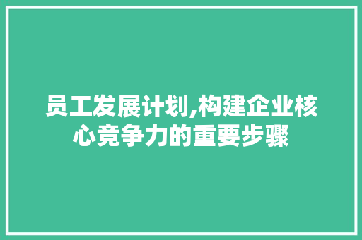 员工发展计划,构建企业核心竞争力的重要步骤