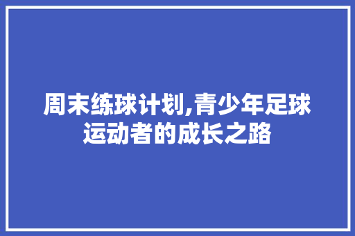 周末练球计划,青少年足球运动者的成长之路