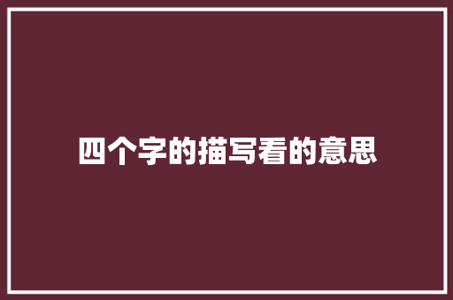 四个字的描写看的意思