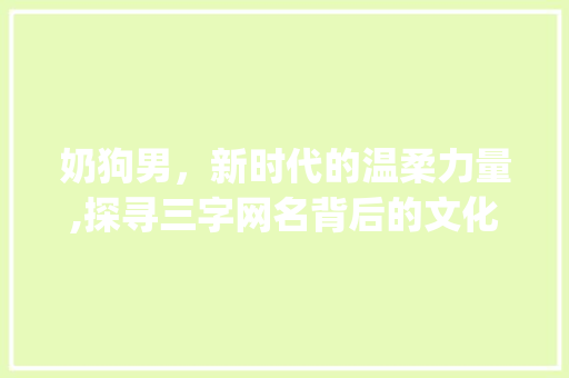 奶狗男，新时代的温柔力量,探寻三字网名背后的文化内涵_三字网名男奶狗的意思 采访稿