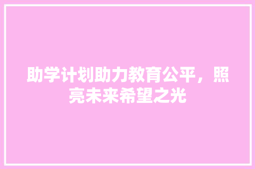 助学计划助力教育公平，照亮未来希望之光 工作总结