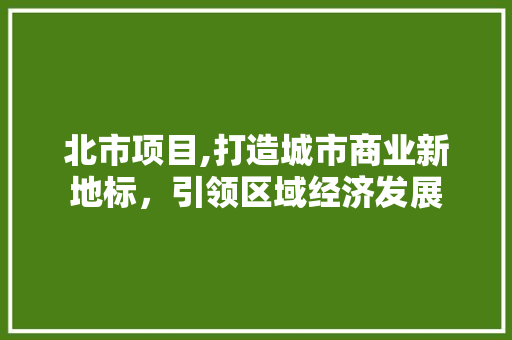 北市项目,打造城市商业新地标，引领区域经济发展