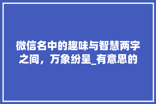 微信名中的趣味与智慧两字之间，万象纷呈_有意思的微信名两字
