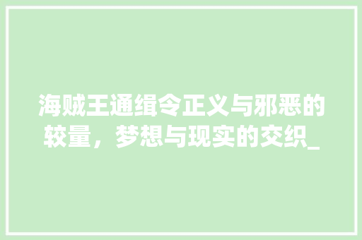 海贼王通缉令正义与邪恶的较量，梦想与现实的交织_海贼王通缉令字的意思