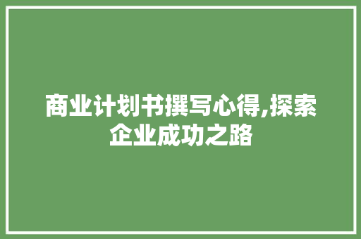 商业计划书撰写心得,探索企业成功之路 工作报告