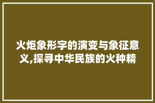 火炬象形字的演变与象征意义,探寻中华民族的火种精神_火炬的象形字是什么意思