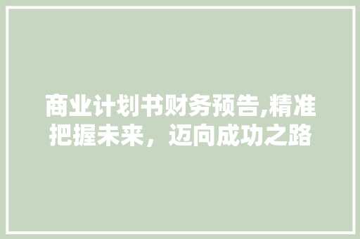 商业计划书财务预告,精准把握未来，迈向成功之路