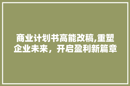 商业计划书高能改稿,重塑企业未来，开启盈利新篇章
