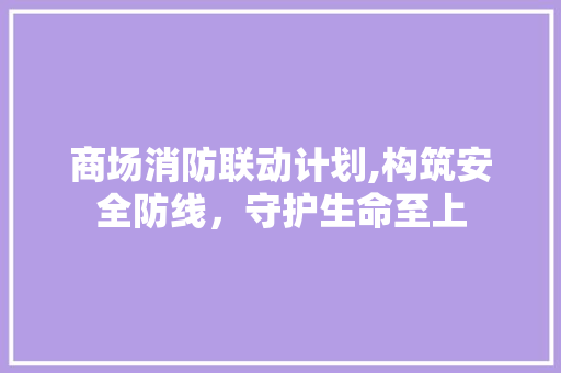 商场消防联动计划,构筑安全防线，守护生命至上