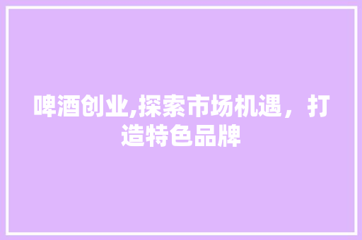 啤酒创业,探索市场机遇，打造特色品牌 生活感悟